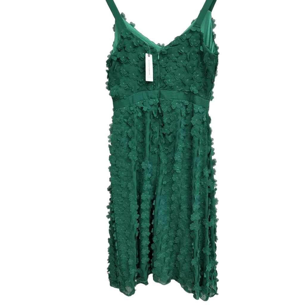Eva Franco 3D Floral Applique A-Line Midi Dress Green