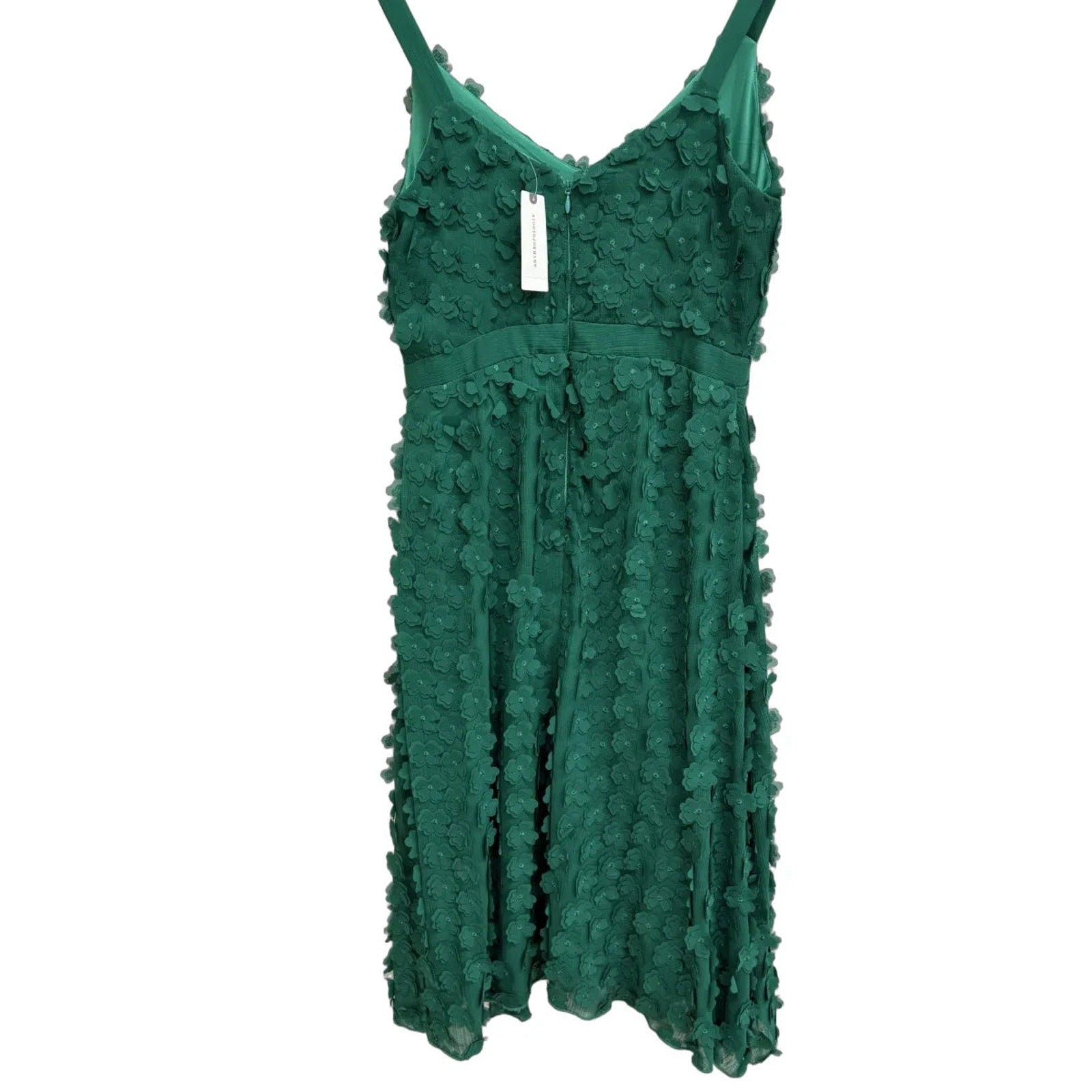Eva Franco 3D Floral Applique A-Line Midi Dress Green